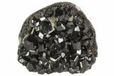 Black Andradite (Melanite) Garnet Cluster - Kazakhstan #102448-1